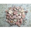 沸石濾料廠家