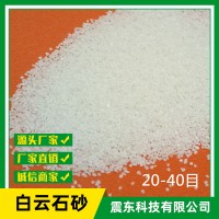 廠家供應大量天然白云石砂雪花白砂工藝品砂娛樂砂建筑裝飾砂白色
